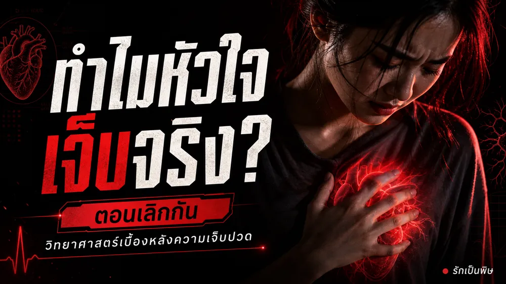 ทำไมหัวใจเจ็บจริงๆ ตอนเลิกกัน วิทยาศาสตร์ที่พิสูจน์ว่าความเจ็บปวดทางใจเป็นเรื่องจริง